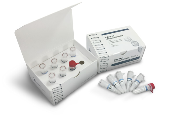 cDNA synthesis kit