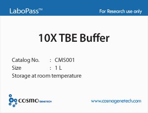 10x TBE Buffer