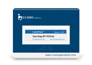 One-Step RT-PCR Kit