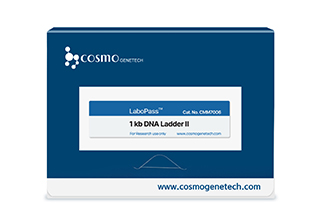 1 kb DNA Ladder II